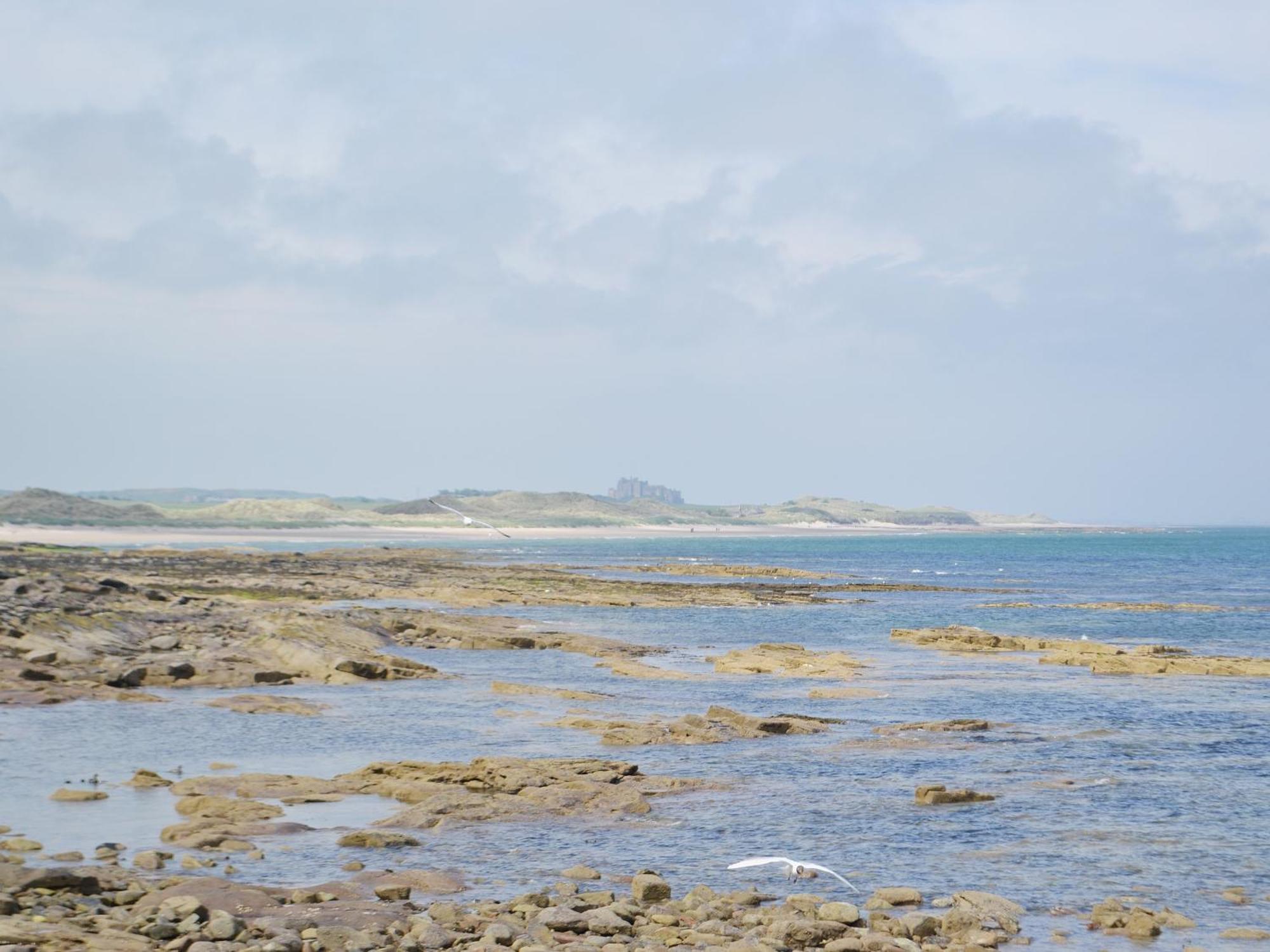 Erskine Cottage Seahouses Exteriör bild